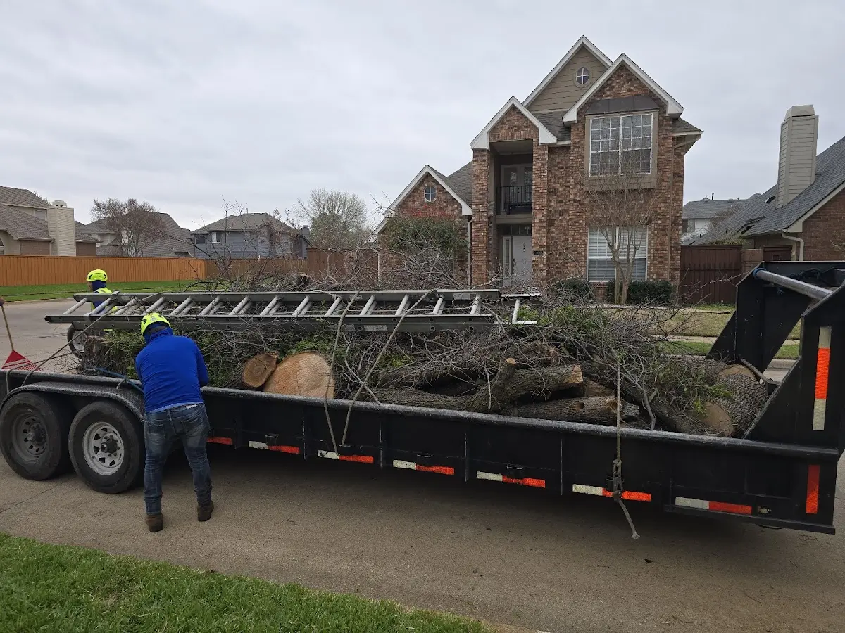 Expert Tree Removal with proper safety equipment in Twin Lakes